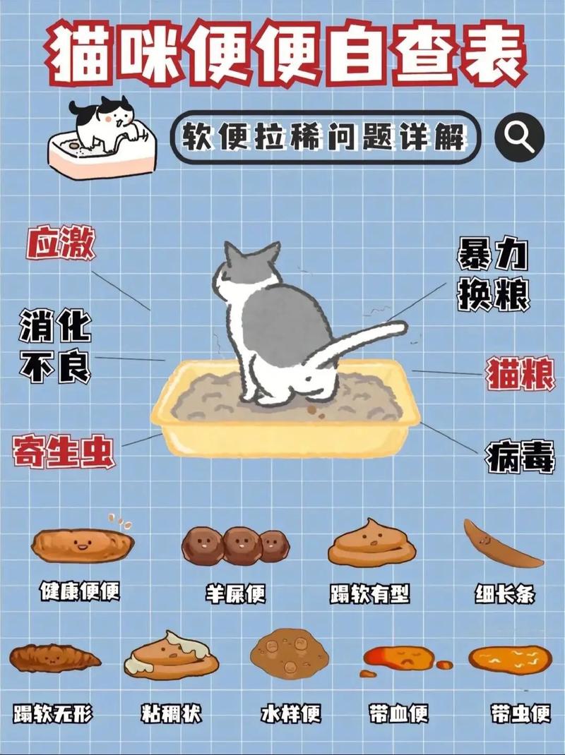猫咪突然乱拉屎怎么办_猫咪乱拉屎怎么办总是拉床上-第1张图片-后鲨宠物 猫咪突然乱拉屎怎么办_猫咪乱拉屎怎么办总是拉床上-第1张图片-后鲨宠物
