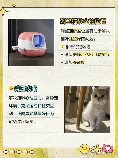 猫咪突然乱拉屎怎么办_猫咪乱拉屎怎么办总是拉床上-第3张图片-后鲨宠物 猫咪突然乱拉屎怎么办_猫咪乱拉屎怎么办总是拉床上-第3张图片-后鲨宠物