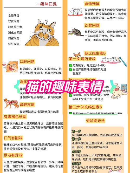 猫咪口气臭怎么去除_猫咪口臭怎么去除小窍门-第2张图片-后鲨宠物 猫咪口气臭怎么去除_猫咪口臭怎么去除小窍门-第2张图片-后鲨宠物