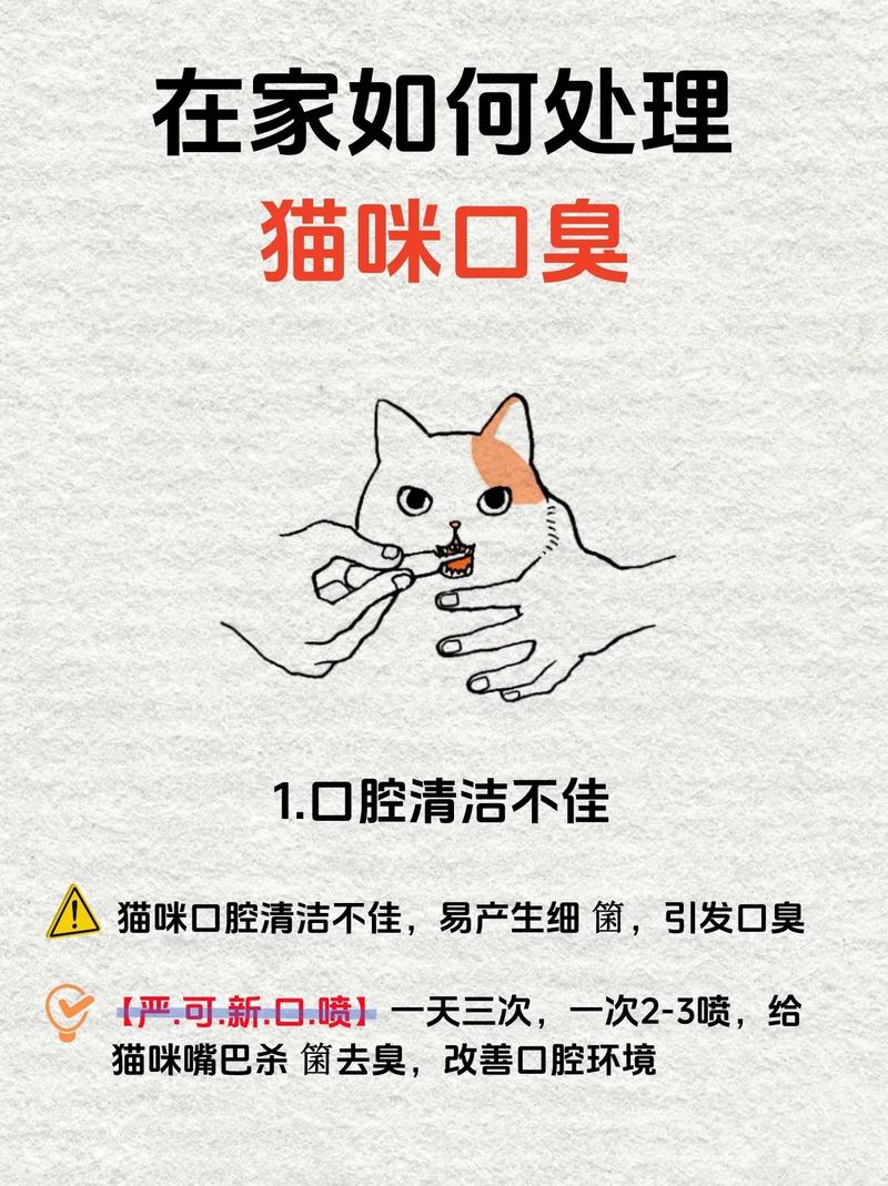 猫咪口气臭怎么去除_猫咪口臭怎么去除小窍门-第4张图片-后鲨宠物 猫咪口气臭怎么去除_猫咪口臭怎么去除小窍门-第4张图片-后鲨宠物