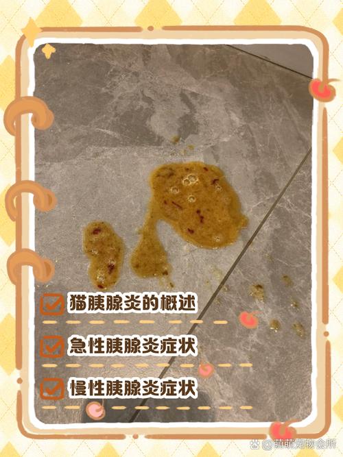 猫咪急性胰腺炎,猫咪急性胰腺炎能活多久?-第5张图片-后鲨宠物 猫咪急性胰腺炎,猫咪急性胰腺炎能活多久?-第5张图片-后鲨宠物