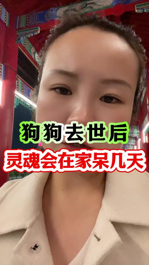 怎么找到转世的狗狗,如何找到转世-第4张图片-后鲨宠物 怎么找到转世的狗狗,如何找到转世-第4张图片-后鲨宠物