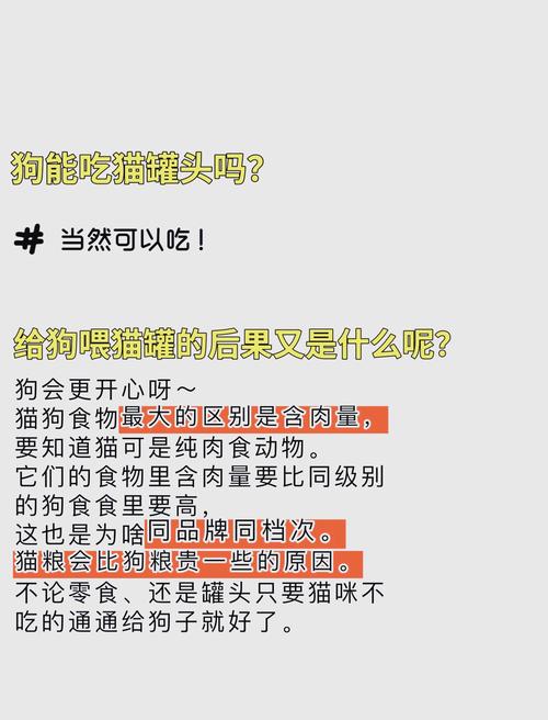 狗狗可以吃猫罐头吗,小狗狗可以吃猫罐头吗?-第3张图片-后鲨宠物 狗狗可以吃猫罐头吗,小狗狗可以吃猫罐头吗?-第3张图片-后鲨宠物