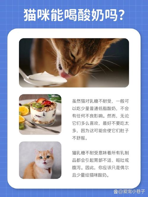 猫猫可以喝酸奶吗,猫咪喝了牛奶会怎么样?-第2张图片-后鲨宠物 猫猫可以喝酸奶吗,猫咪喝了牛奶会怎么样?-第2张图片-后鲨宠物