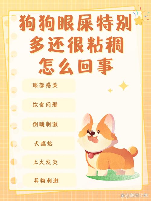 狗狗的眼屎多怎么回事,狗狗眼屎多是什么问题?-第4张图片-后鲨宠物 狗狗的眼屎多怎么回事,狗狗眼屎多是什么问题?-第4张图片-后鲨宠物