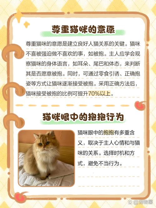 猫咪喜欢被抱吗,猫咪喜欢被抱的姿势?-第6张图片-后鲨宠物 猫咪喜欢被抱吗,猫咪喜欢被抱的姿势?-第6张图片-后鲨宠物
