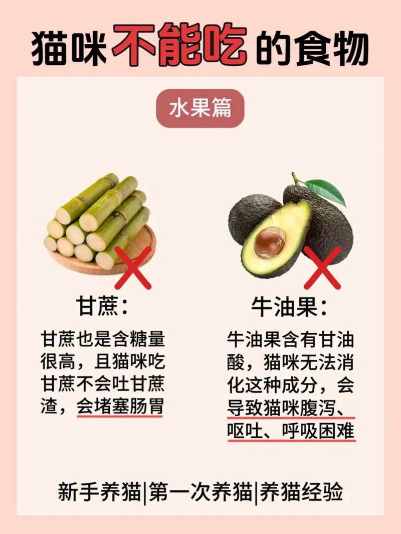 猫咪不能吃什么水果_猫咪不能吃啥水果-第3张图片-后鲨宠物 猫咪不能吃什么水果_猫咪不能吃啥水果-第3张图片-后鲨宠物