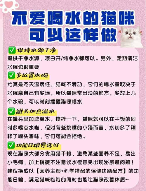 猫咪不喜欢喝水_猫咪不喜欢喝水怎么回事-第2张图片-后鲨宠物 猫咪不喜欢喝水_猫咪不喜欢喝水怎么回事-第2张图片-后鲨宠物
