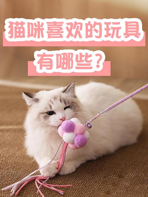 猫咪喜欢玩什么,怎么确定猫认主人了?-第3张图片-后鲨宠物 猫咪喜欢玩什么,怎么确定猫认主人了?-第3张图片-后鲨宠物