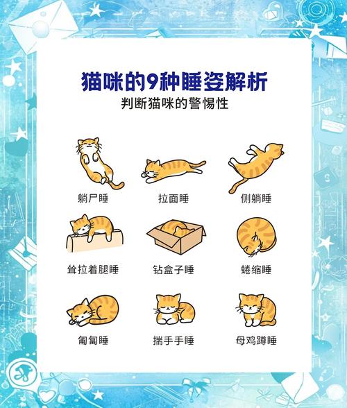 猫咪全身无力一直躺着,猫咪全身无力一直躺着不会眨眼睛?-第1张图片-后鲨宠物 猫咪全身无力一直躺着,猫咪全身无力一直躺着不会眨眼睛?-第1张图片-后鲨宠物