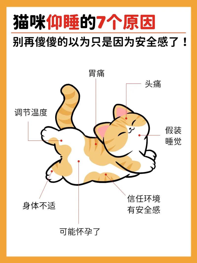 猫咪全身无力一直躺着,猫咪全身无力一直躺着不会眨眼睛?-第3张图片-后鲨宠物 猫咪全身无力一直躺着,猫咪全身无力一直躺着不会眨眼睛?-第3张图片-后鲨宠物