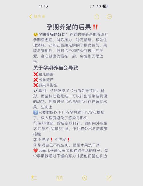 孕妇养猫咪该注意事项,怀孕期间养猫咪需要注意什么?-第2张图片-后鲨宠物 孕妇养猫咪该注意事项,怀孕期间养猫咪需要注意什么?-第2张图片-后鲨宠物