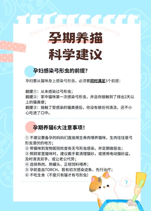 孕妇养猫咪该注意事项,怀孕期间养猫咪需要注意什么?-第6张图片-后鲨宠物 孕妇养猫咪该注意事项,怀孕期间养猫咪需要注意什么?-第6张图片-后鲨宠物