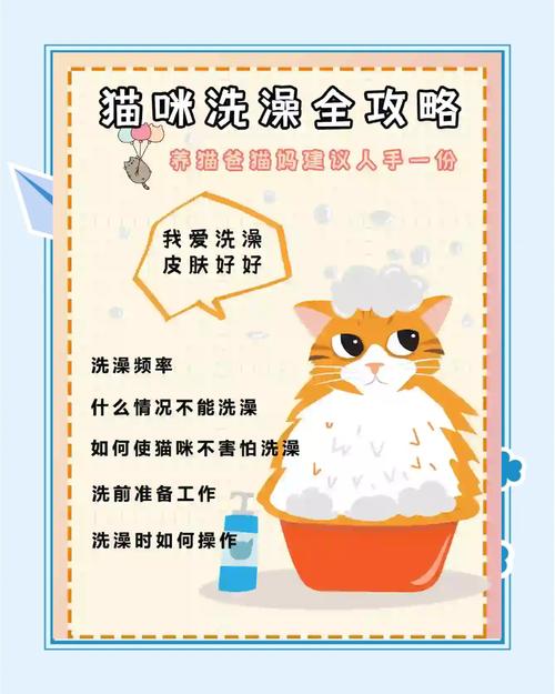 怀孕猫咪可以洗澡吗,怀孕的猫可以洗澡-第4张图片-后鲨宠物 怀孕猫咪可以洗澡吗,怀孕的猫可以洗澡-第4张图片-后鲨宠物