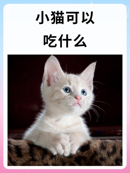 猫咪能吃香菇吗,猫咪能吃香菇吗熟的-第1张图片-后鲨宠物 猫咪能吃香菇吗,猫咪能吃香菇吗熟的-第1张图片-后鲨宠物