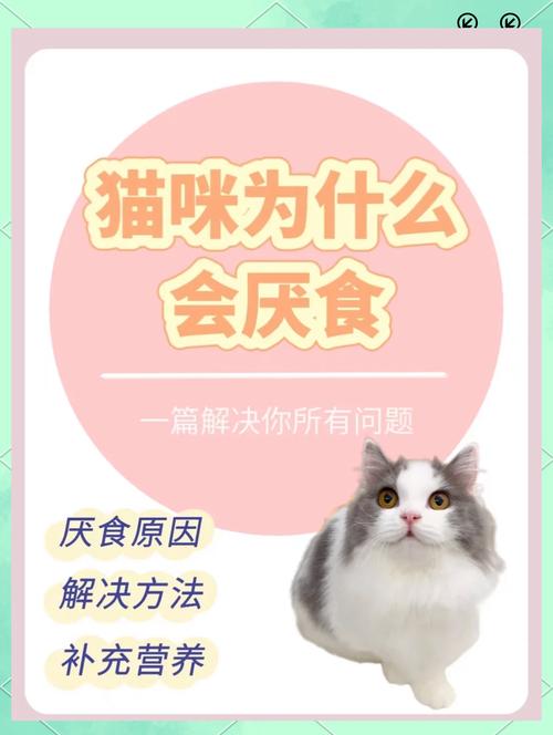 猫咪能吃香菇吗,猫咪能吃香菇吗熟的-第3张图片-后鲨宠物 猫咪能吃香菇吗,猫咪能吃香菇吗熟的-第3张图片-后鲨宠物