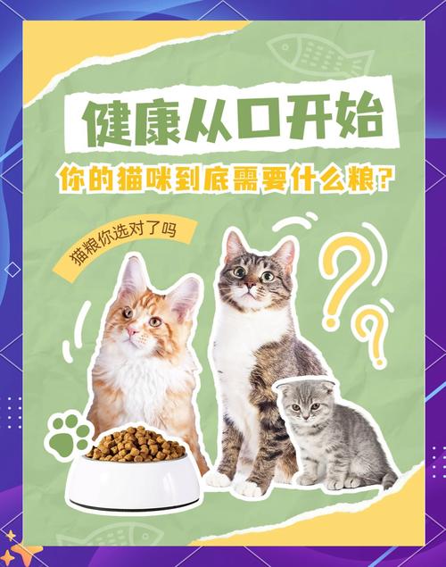 猫咪能吃香菇吗,猫咪能吃香菇吗熟的-第4张图片-后鲨宠物 猫咪能吃香菇吗,猫咪能吃香菇吗熟的-第4张图片-后鲨宠物