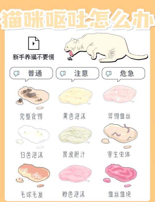 猫咪能吃香菇吗,猫咪能吃香菇吗熟的-第5张图片-后鲨宠物 猫咪能吃香菇吗,猫咪能吃香菇吗熟的-第5张图片-后鲨宠物