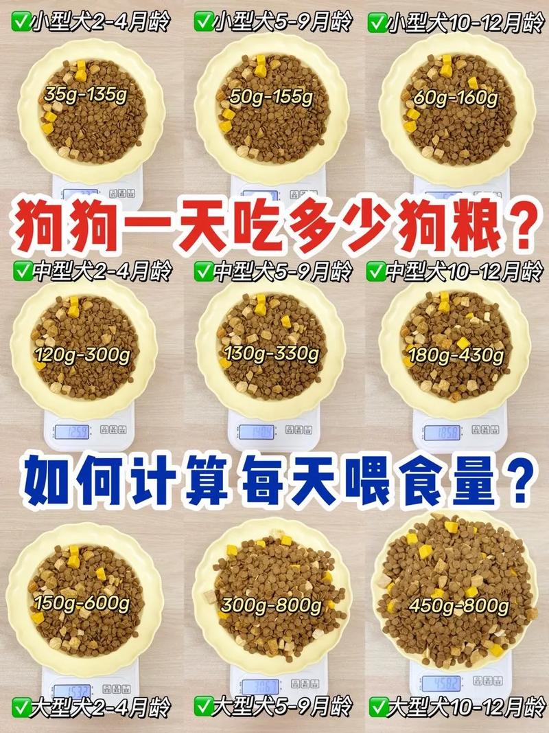 狗狗可以吃稀饭吗,狗狗可以喂稀饭吗-第2张图片-后鲨宠物 狗狗可以吃稀饭吗,狗狗可以喂稀饭吗-第2张图片-后鲨宠物