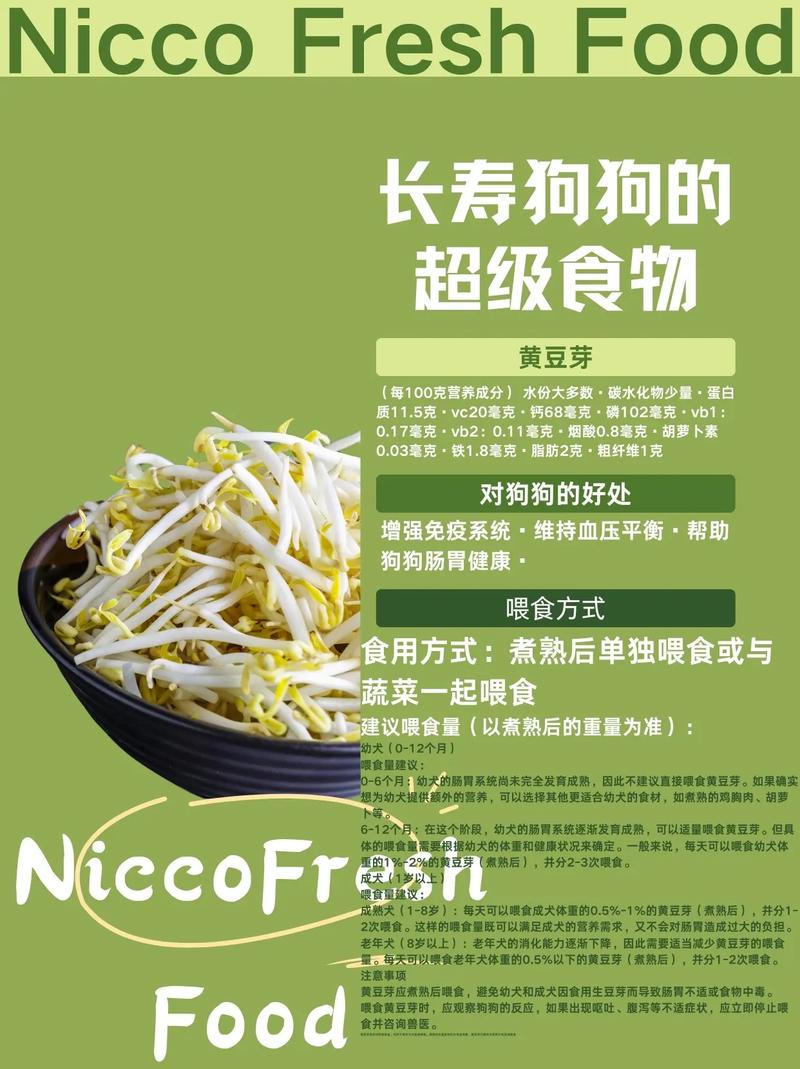 狗狗可以吃稀饭吗,狗狗可以喂稀饭吗-第5张图片-后鲨宠物 狗狗可以吃稀饭吗,狗狗可以喂稀饭吗-第5张图片-后鲨宠物