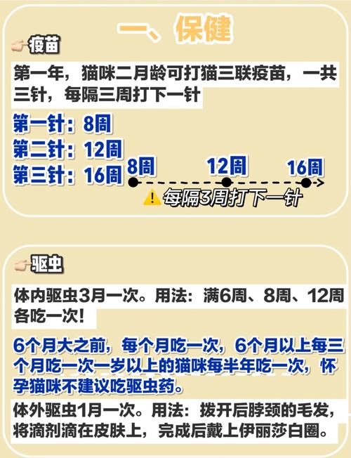 如何让猫咪发腮,怎么样可以让猫发腮-第3张图片-后鲨宠物 如何让猫咪发腮,怎么样可以让猫发腮-第3张图片-后鲨宠物