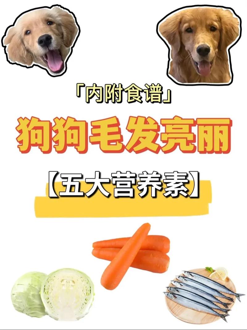 狗狗吃什么长毛快,狗狗吃什么可以长毛快?-第3张图片-后鲨宠物 狗狗吃什么长毛快,狗狗吃什么可以长毛快?-第3张图片-后鲨宠物