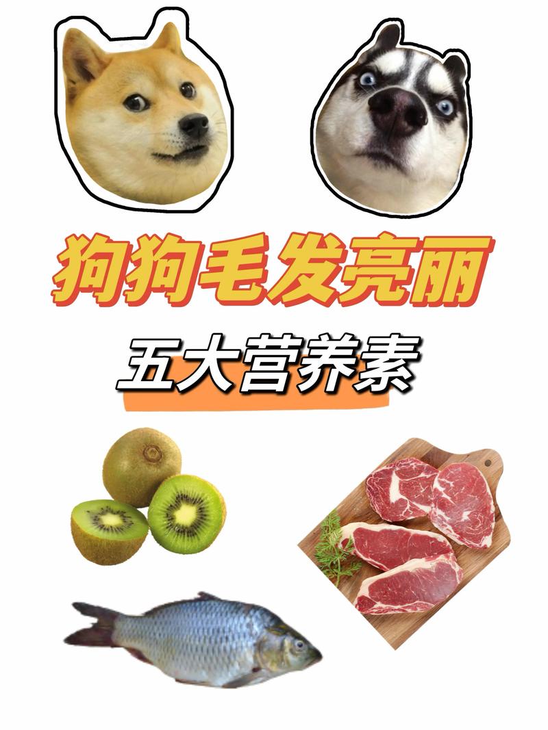 狗狗吃什么长毛快,狗狗吃什么可以长毛快?-第4张图片-后鲨宠物 狗狗吃什么长毛快,狗狗吃什么可以长毛快?-第4张图片-后鲨宠物