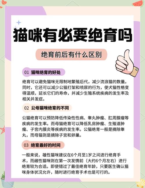 猫咪绝育有什么好处,猫做绝育后不吃不喝怎么办?-第2张图片-后鲨宠物 猫咪绝育有什么好处,猫做绝育后不吃不喝怎么办?-第2张图片-后鲨宠物