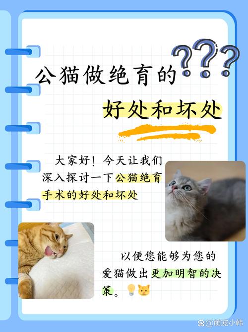 猫咪绝育有什么好处,猫做绝育后不吃不喝怎么办?-第3张图片-后鲨宠物 猫咪绝育有什么好处,猫做绝育后不吃不喝怎么办?-第3张图片-后鲨宠物