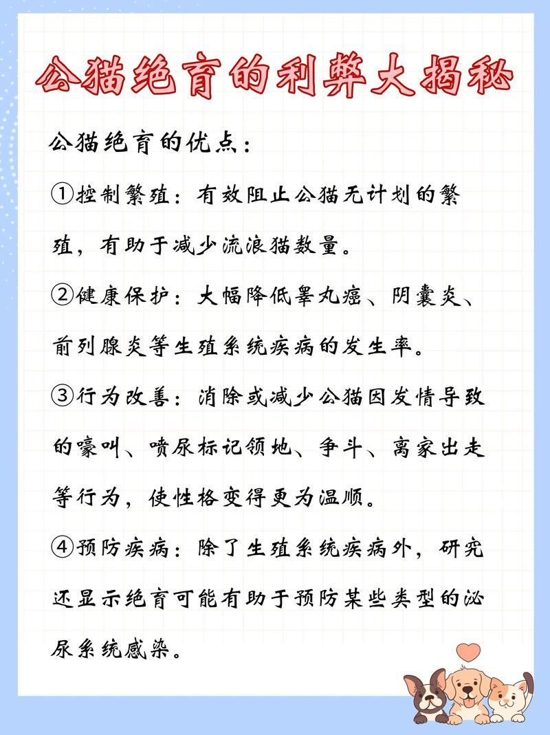 猫咪绝育有什么好处,猫做绝育后不吃不喝怎么办?-第6张图片-后鲨宠物 猫咪绝育有什么好处,猫做绝育后不吃不喝怎么办?-第6张图片-后鲨宠物