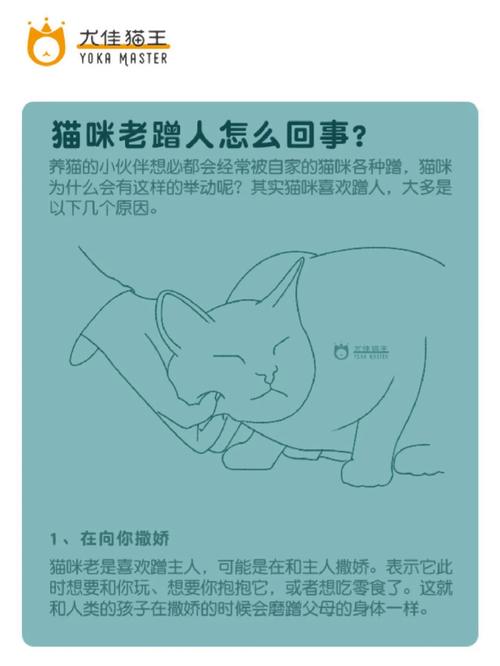 猫咪为什么喜欢蹭人,猫咪为什么喜欢蹭主人-第1张图片-后鲨宠物 猫咪为什么喜欢蹭人,猫咪为什么喜欢蹭主人-第1张图片-后鲨宠物