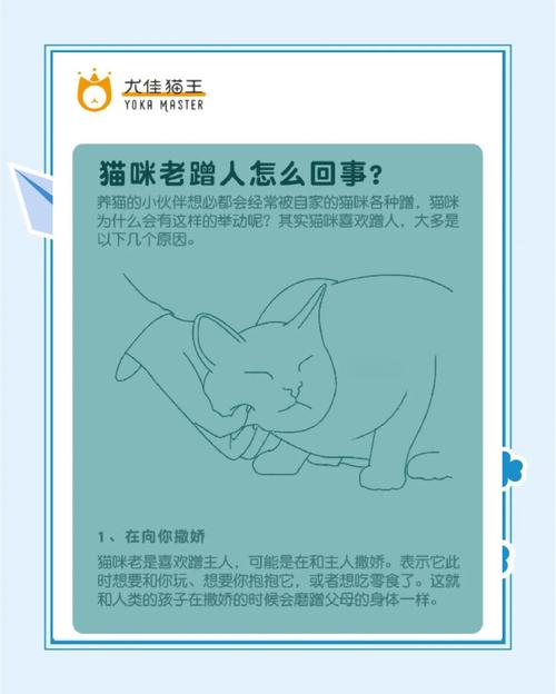 猫咪为什么喜欢蹭人,猫咪为什么喜欢蹭主人-第3张图片-后鲨宠物 猫咪为什么喜欢蹭人,猫咪为什么喜欢蹭主人-第3张图片-后鲨宠物