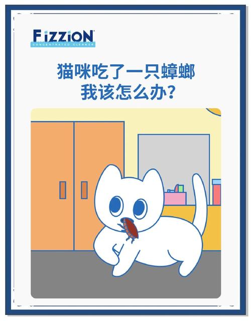 猫咪吃虫子怎么办_猫吃虫子会有事吗-第2张图片-后鲨宠物 猫咪吃虫子怎么办_猫吃虫子会有事吗-第2张图片-后鲨宠物