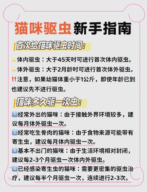 猫咪吃虫子怎么办_猫吃虫子会有事吗-第6张图片-后鲨宠物 猫咪吃虫子怎么办_猫吃虫子会有事吗-第6张图片-后鲨宠物