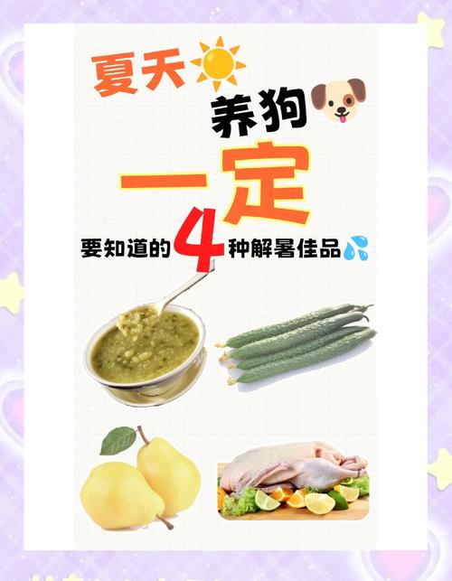 狗狗可以吃莲蓬吗,狗可以吃莲雾吗??-第4张图片-后鲨宠物 狗狗可以吃莲蓬吗,狗可以吃莲雾吗??-第4张图片-后鲨宠物