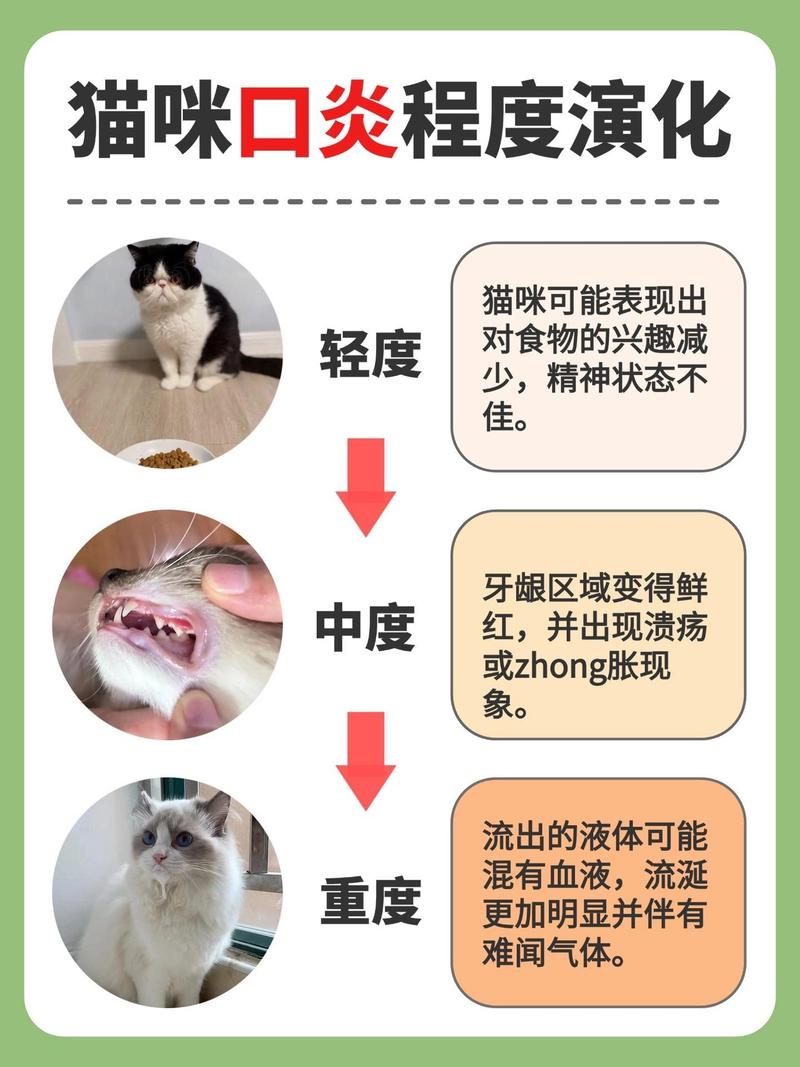猫咪流口水吃什么药_小猫得了口炎用什么药-第3张图片-后鲨宠物 猫咪流口水吃什么药_小猫得了口炎用什么药-第3张图片-后鲨宠物