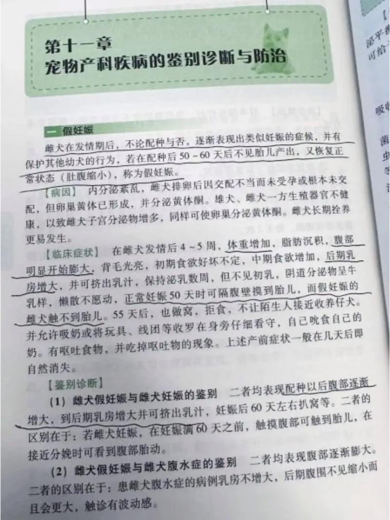 如何判断猫咪是否怀孕,如何断定猫咪是否怀孕?-第5张图片-后鲨宠物 如何判断猫咪是否怀孕,如何断定猫咪是否怀孕?-第5张图片-后鲨宠物