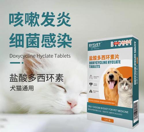 猫咪流鼻涕打喷嚏吃什么药,猫咪流鼻涕打喷嚏吃什么药比较好-第2张图片-后鲨宠物 猫咪流鼻涕打喷嚏吃什么药,猫咪流鼻涕打喷嚏吃什么药比较好-第2张图片-后鲨宠物