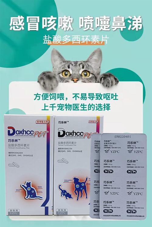 猫咪流鼻涕打喷嚏吃什么药,猫咪流鼻涕打喷嚏吃什么药比较好-第3张图片-后鲨宠物 猫咪流鼻涕打喷嚏吃什么药,猫咪流鼻涕打喷嚏吃什么药比较好-第3张图片-后鲨宠物