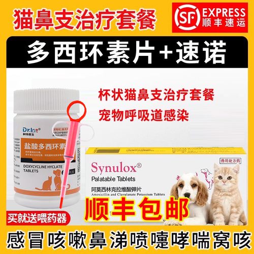 猫咪流鼻涕打喷嚏吃什么药,猫咪流鼻涕打喷嚏吃什么药比较好-第4张图片-后鲨宠物 猫咪流鼻涕打喷嚏吃什么药,猫咪流鼻涕打喷嚏吃什么药比较好-第4张图片-后鲨宠物