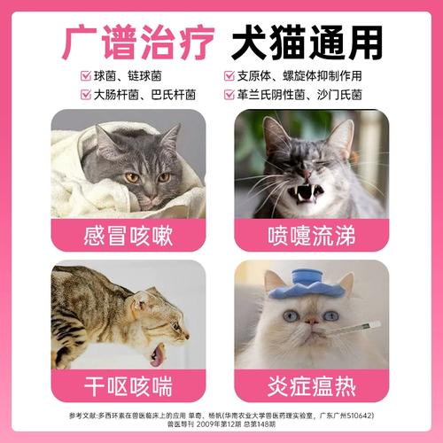 猫咪流鼻涕打喷嚏吃什么药,猫咪流鼻涕打喷嚏吃什么药比较好-第5张图片-后鲨宠物 猫咪流鼻涕打喷嚏吃什么药,猫咪流鼻涕打喷嚏吃什么药比较好-第5张图片-后鲨宠物