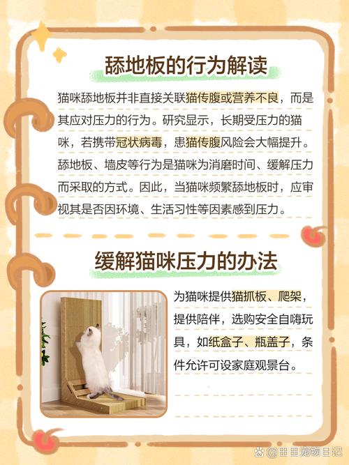 猫咪蹭地板打滚,猫蹭东西在地上打滚儿-第6张图片-后鲨宠物 猫咪蹭地板打滚,猫蹭东西在地上打滚儿-第6张图片-后鲨宠物