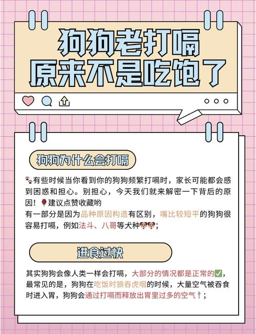 狗狗半夜打嗝怎么回事,狗狗半夜一直打嗝?-第1张图片-后鲨宠物 狗狗半夜打嗝怎么回事,狗狗半夜一直打嗝?-第1张图片-后鲨宠物