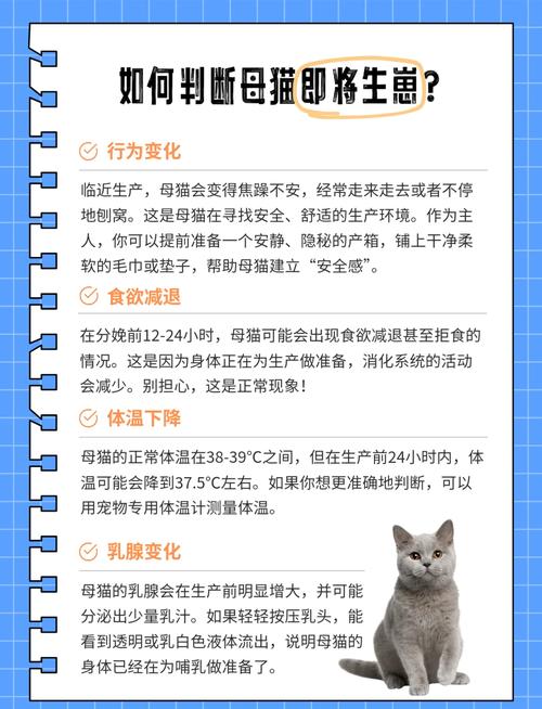 猫咪临产前的征兆_猫咪临产前的征兆有哪些-第5张图片-后鲨宠物 猫咪临产前的征兆_猫咪临产前的征兆有哪些-第5张图片-后鲨宠物