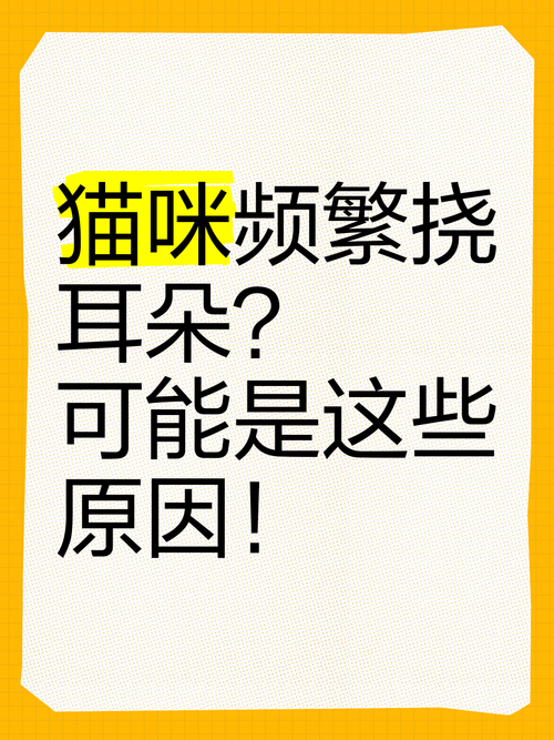 猫咪老是挠耳朵,猫咪老是挠耳朵用什么药-第6张图片-后鲨宠物 猫咪老是挠耳朵,猫咪老是挠耳朵用什么药-第6张图片-后鲨宠物