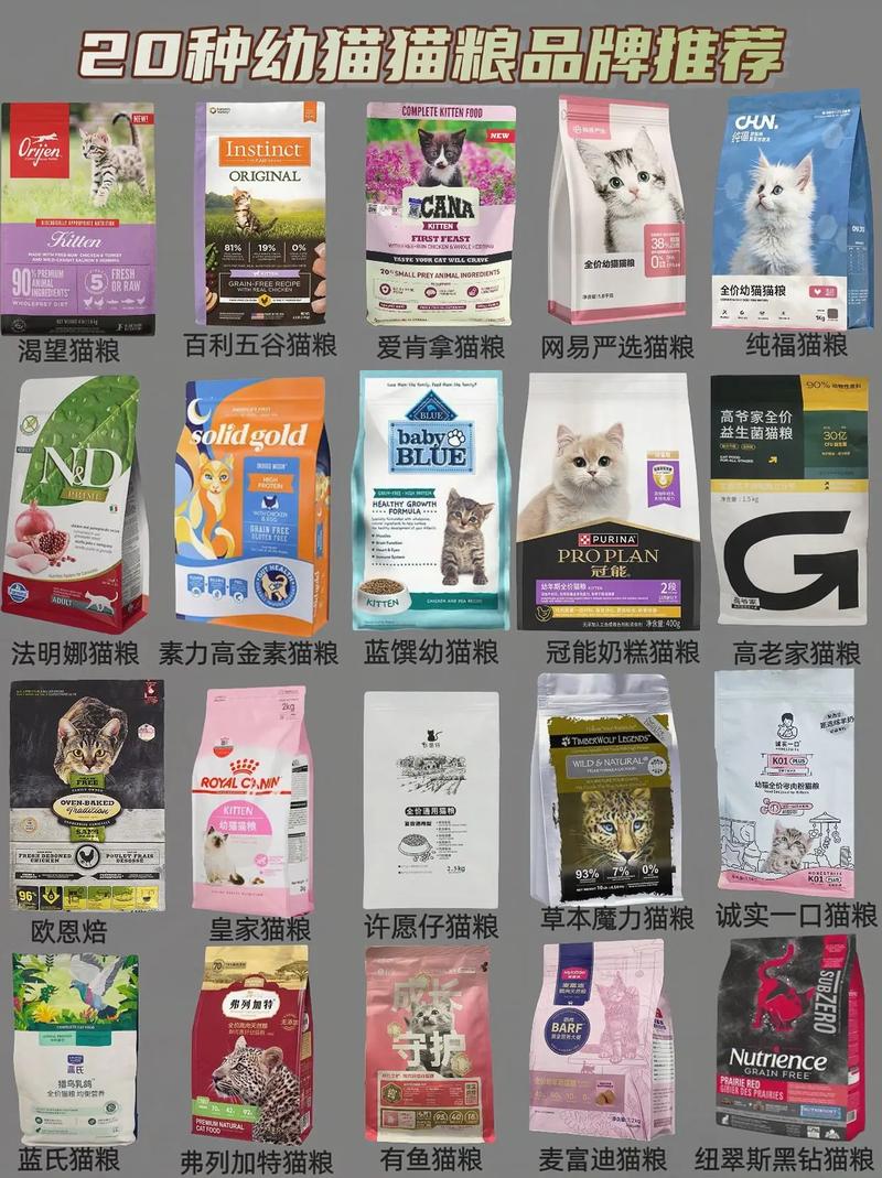 幼猫猫粮哪个品牌好,幼猫猫粮哪个品牌平价又好-第4张图片-后鲨宠物 幼猫猫粮哪个品牌好,幼猫猫粮哪个品牌平价又好-第4张图片-后鲨宠物