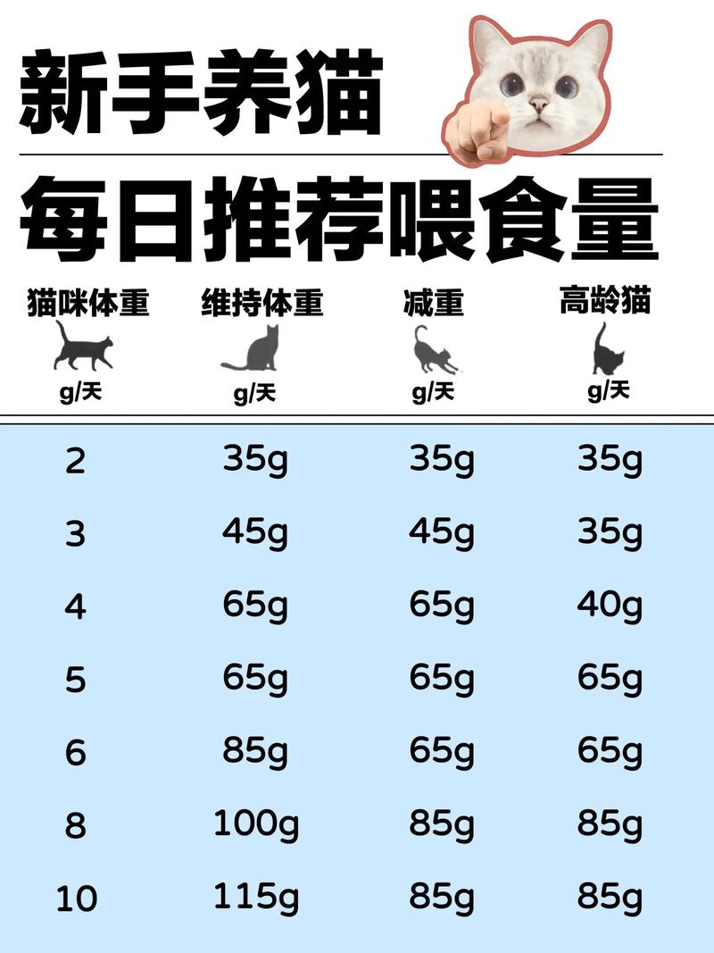 猫咪一顿吃多少猫粮,猫咪一顿吃多少猫粮比较好-第4张图片-后鲨宠物 猫咪一顿吃多少猫粮,猫咪一顿吃多少猫粮比较好-第4张图片-后鲨宠物