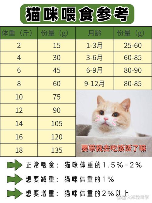 猫咪一顿吃多少猫粮,猫咪一顿吃多少猫粮比较好-第5张图片-后鲨宠物 猫咪一顿吃多少猫粮,猫咪一顿吃多少猫粮比较好-第5张图片-后鲨宠物