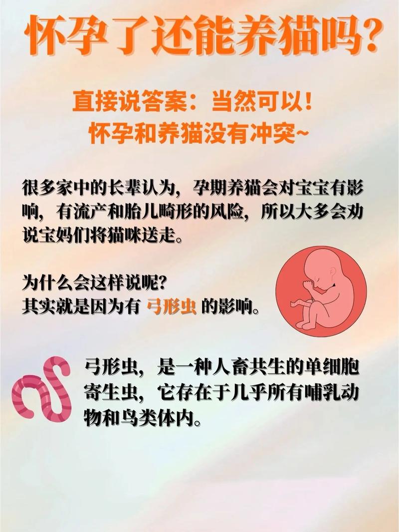 怀孕可以养猫咪吗,怀孕是否可以养猫-第3张图片-后鲨宠物 怀孕可以养猫咪吗,怀孕是否可以养猫-第3张图片-后鲨宠物