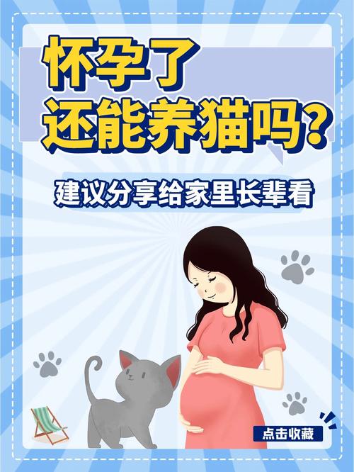 怀孕可以养猫咪吗,怀孕是否可以养猫-第5张图片-后鲨宠物 怀孕可以养猫咪吗,怀孕是否可以养猫-第5张图片-后鲨宠物